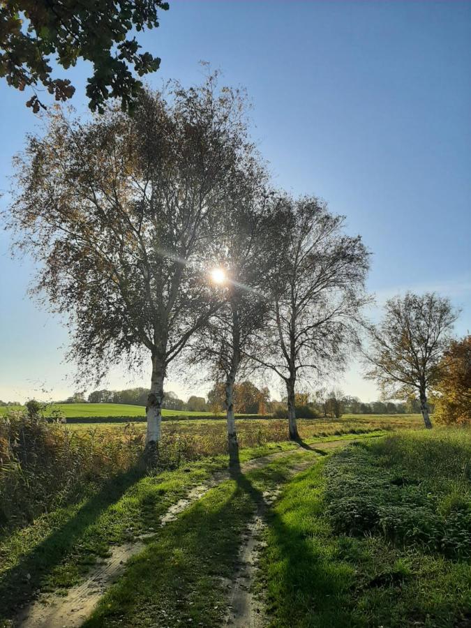 Mv Idyll Villa Dahmen  Buitenkant foto