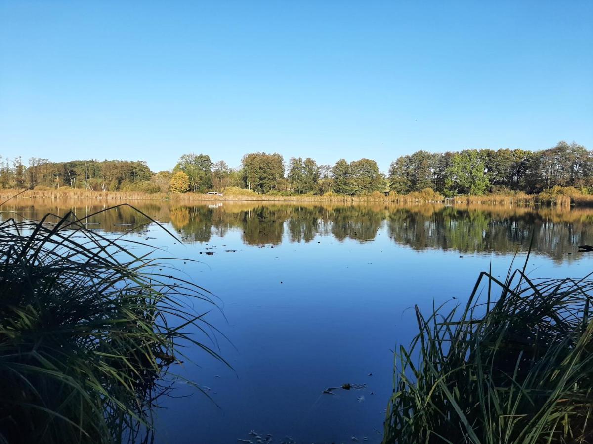 Mv Idyll Villa Dahmen  Buitenkant foto